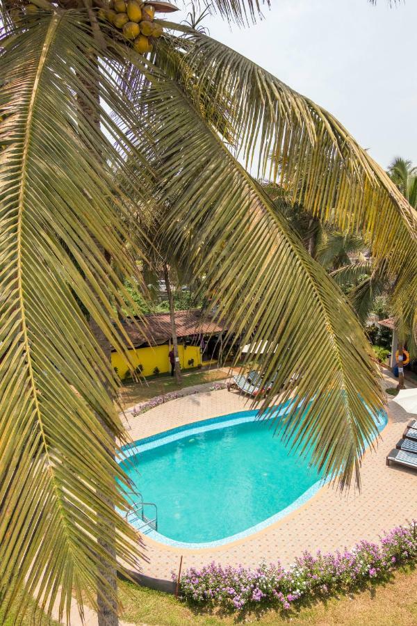 Dona Julia Beach Resort Калангуте Екстериор снимка